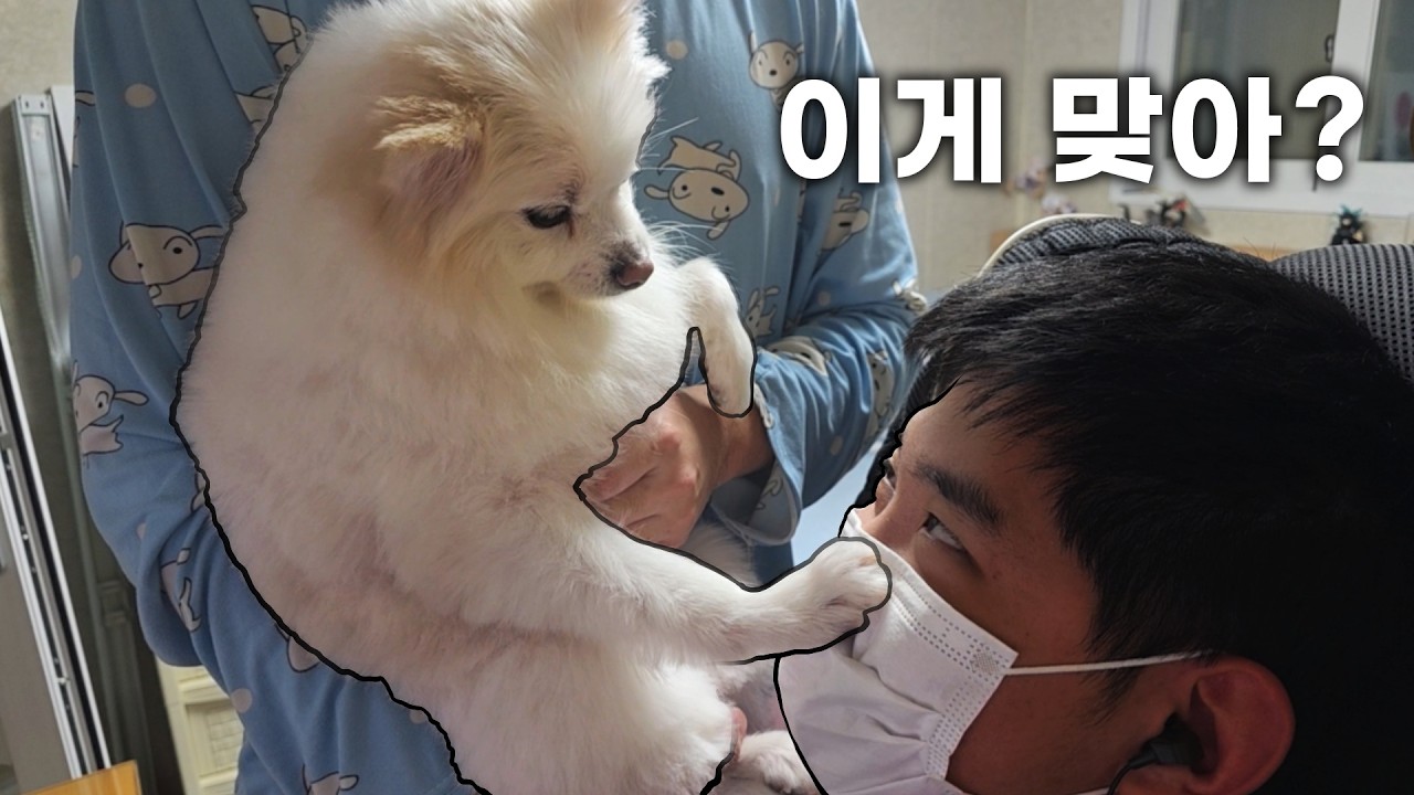 취무등을 서열정리 해버리는 강아지ㅋㅋㅋ