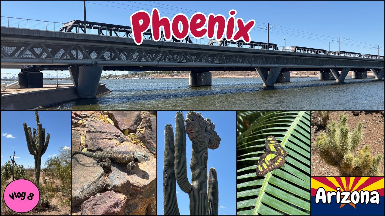 Road trip Arizona / Nevada vlog 8 - De retour à Phoenix, on visite le Desert Botanical Garden 🌵🌵
