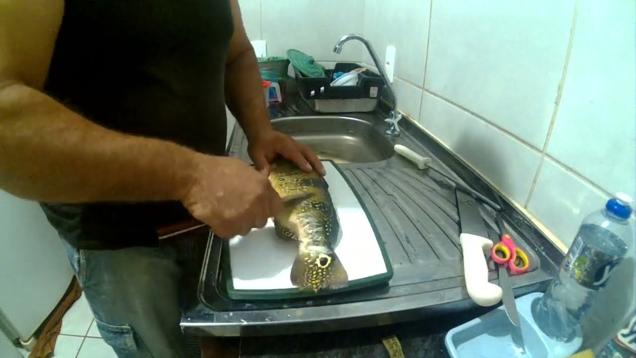 limpando tucunare para assar na braza