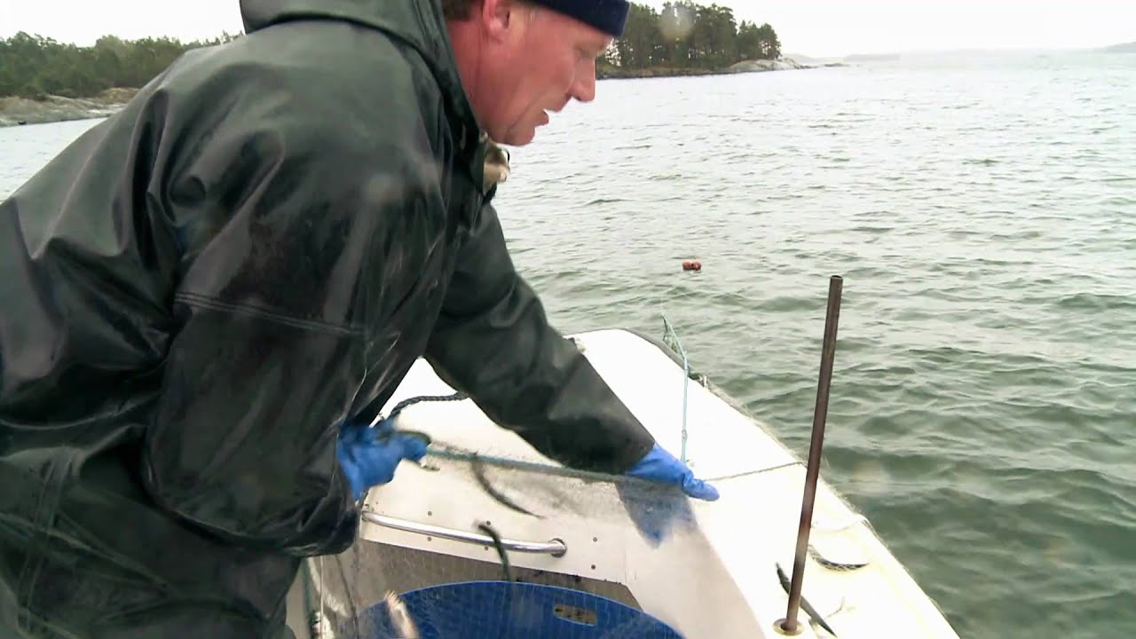 Kalastaja Magnus Nyholm