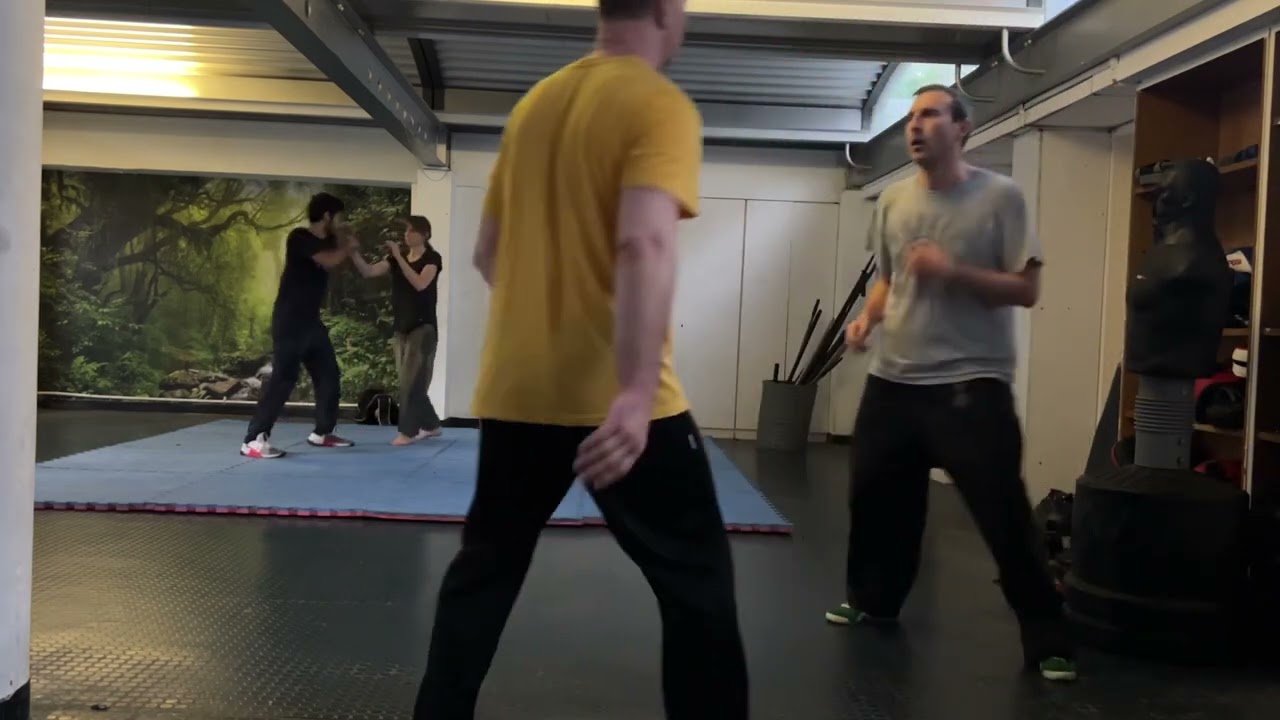 Tai Chi self defence practice #selfdefensetechniques 