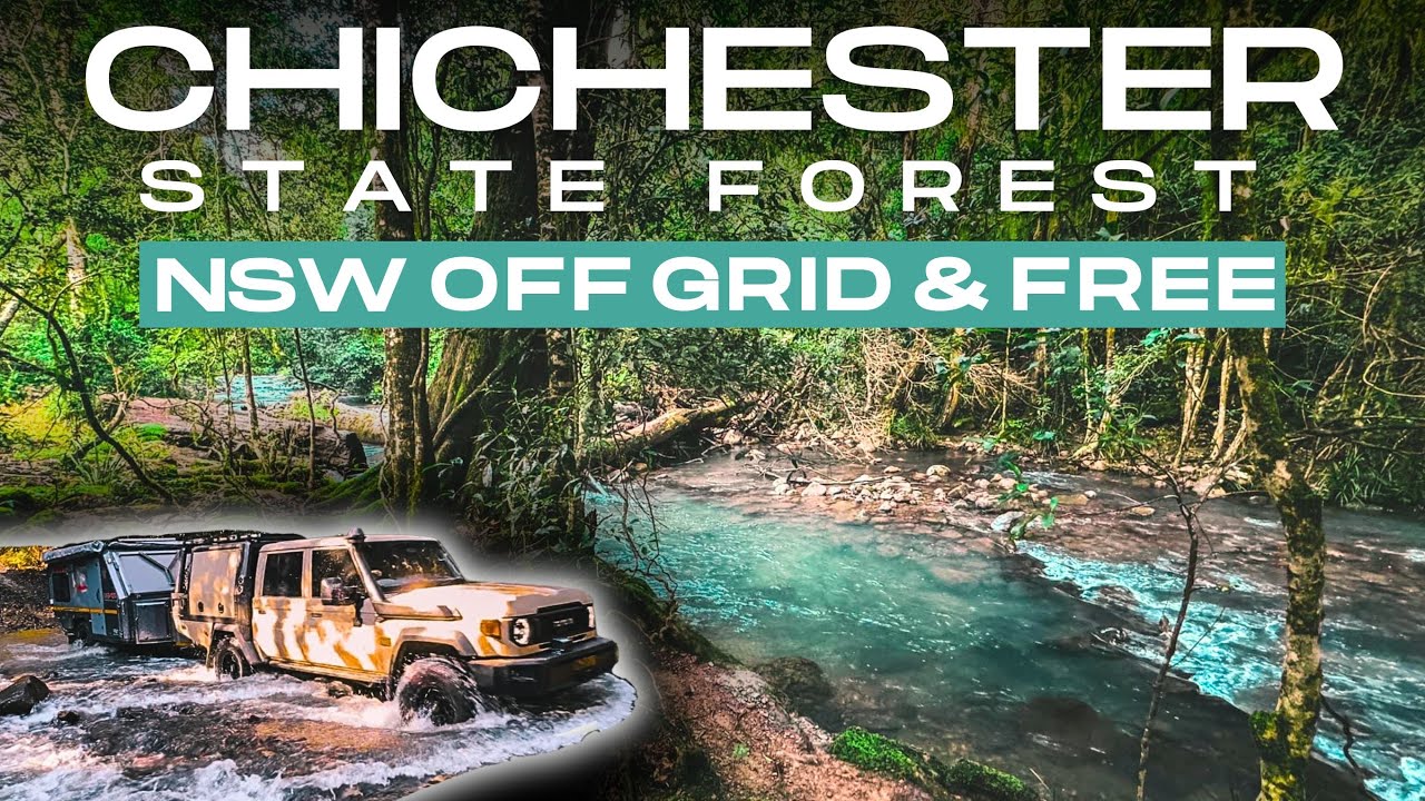 CHICHESTER STATE FOREST | 100% FREE CAMPING AT ITS BEST
