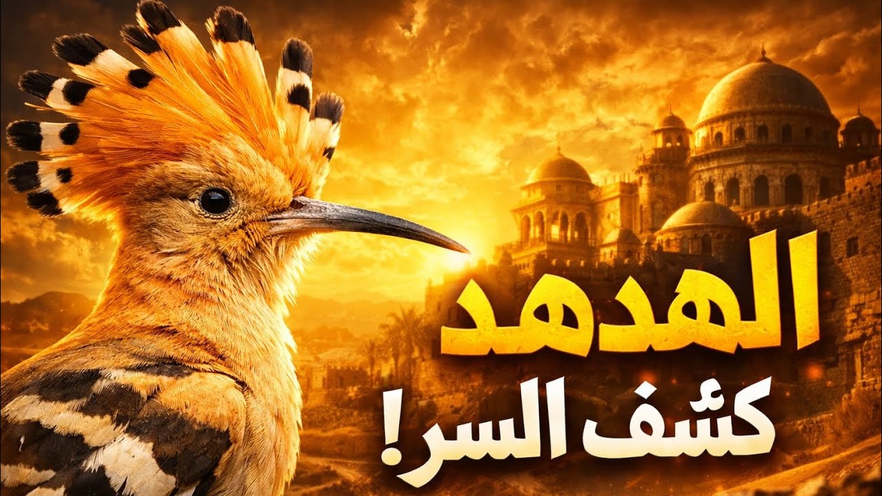 الهدهد الذي غيّر أمة كاملة | قصة عجيبة في زمن سليمان عليه السلام