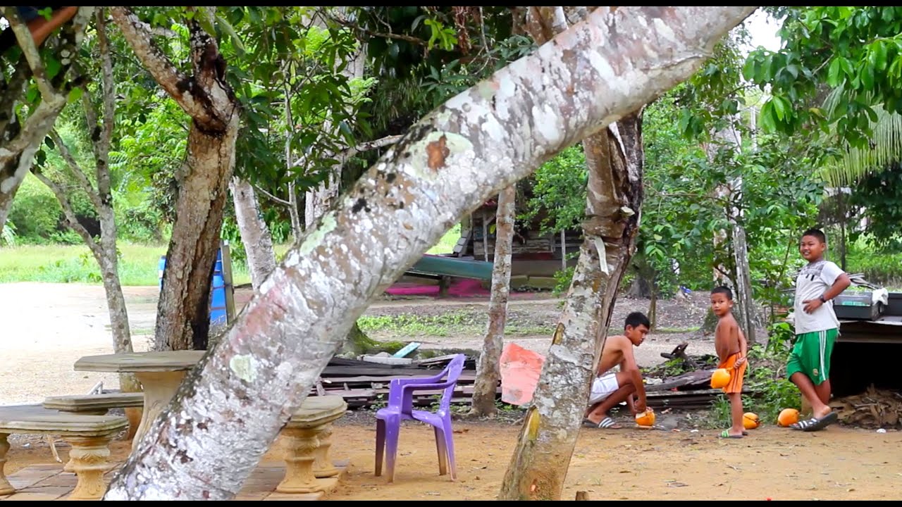 Plantage Peperpot | Suriname