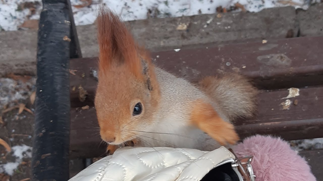Місце тиші 