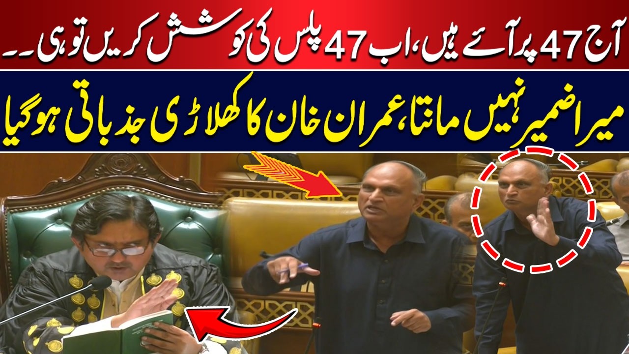 PTI Leader Gets Emotional During Speech | Punjab Assembly | Imran Khan | Hum News | Pakistan