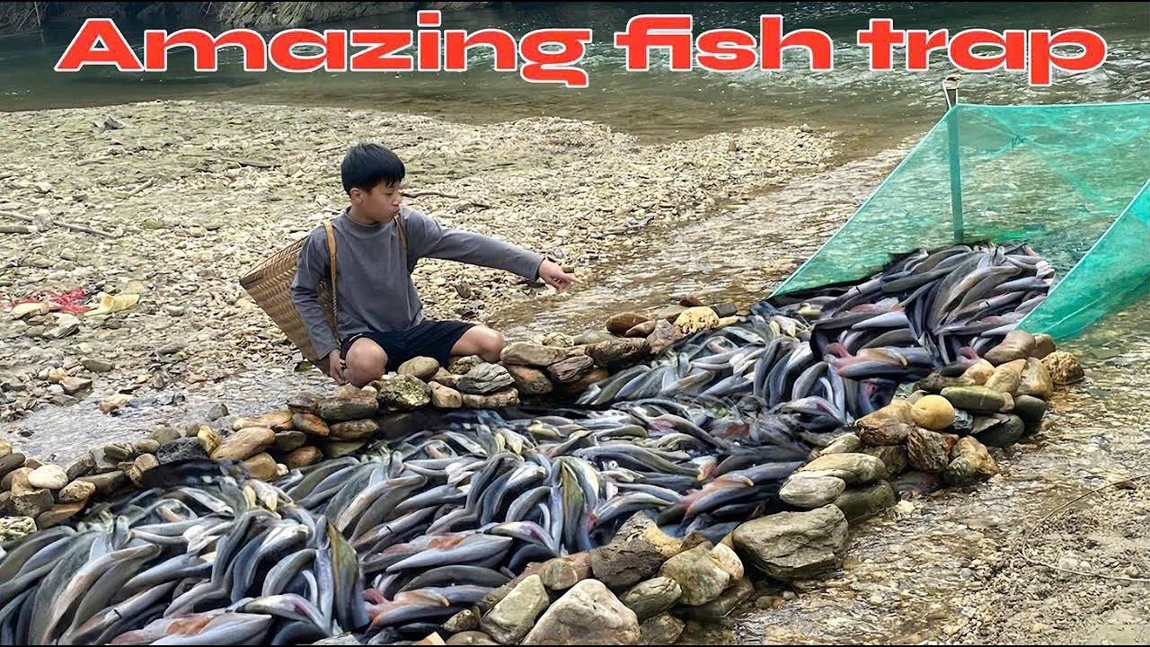 Amazing skills in using giant fishing nets.