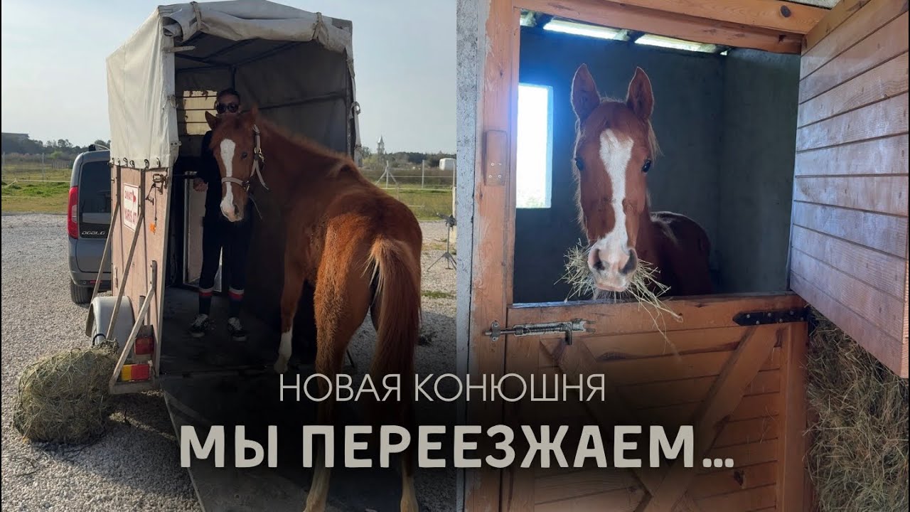 ПЕРВЫЙ переезд Тайры | как все прошло? 