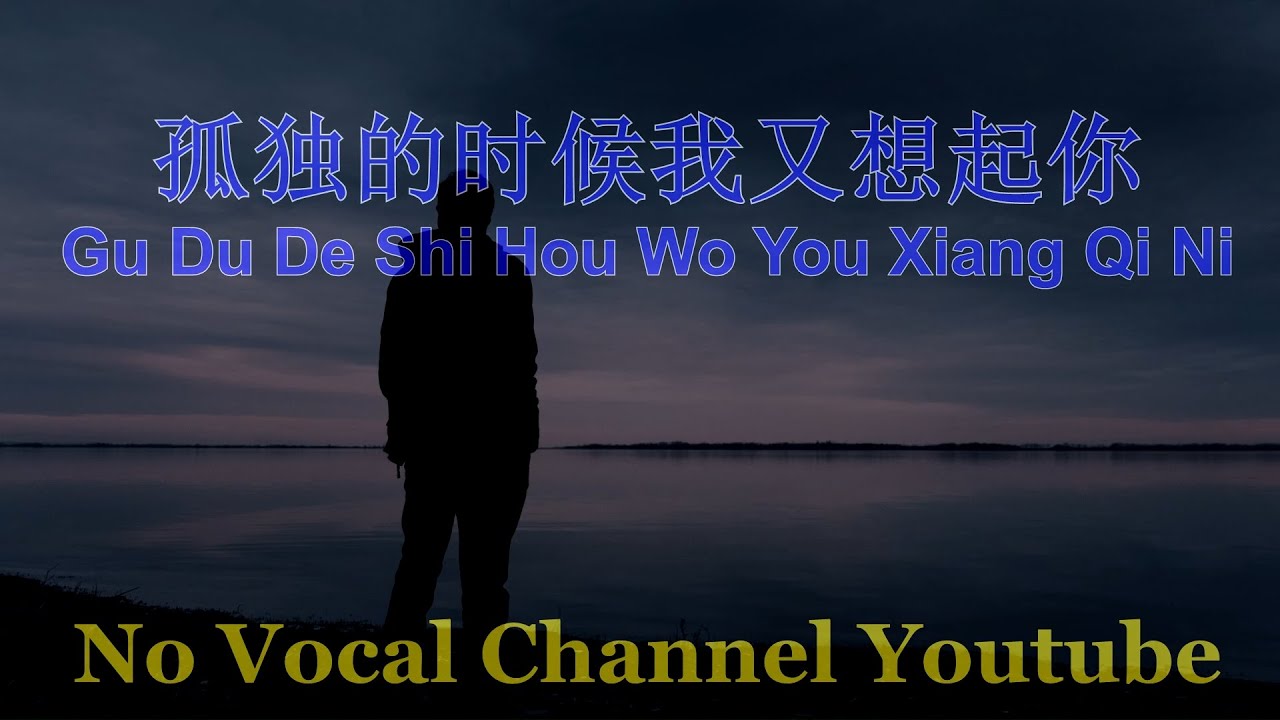 Gu Du De Shi Hou Wo You Xiang Qi Ni ( 孤独的时候我又想起你 ) Male Karaoke Mandarin - No Vocal