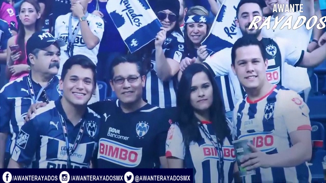 Awante rayados | 2017 | inspector