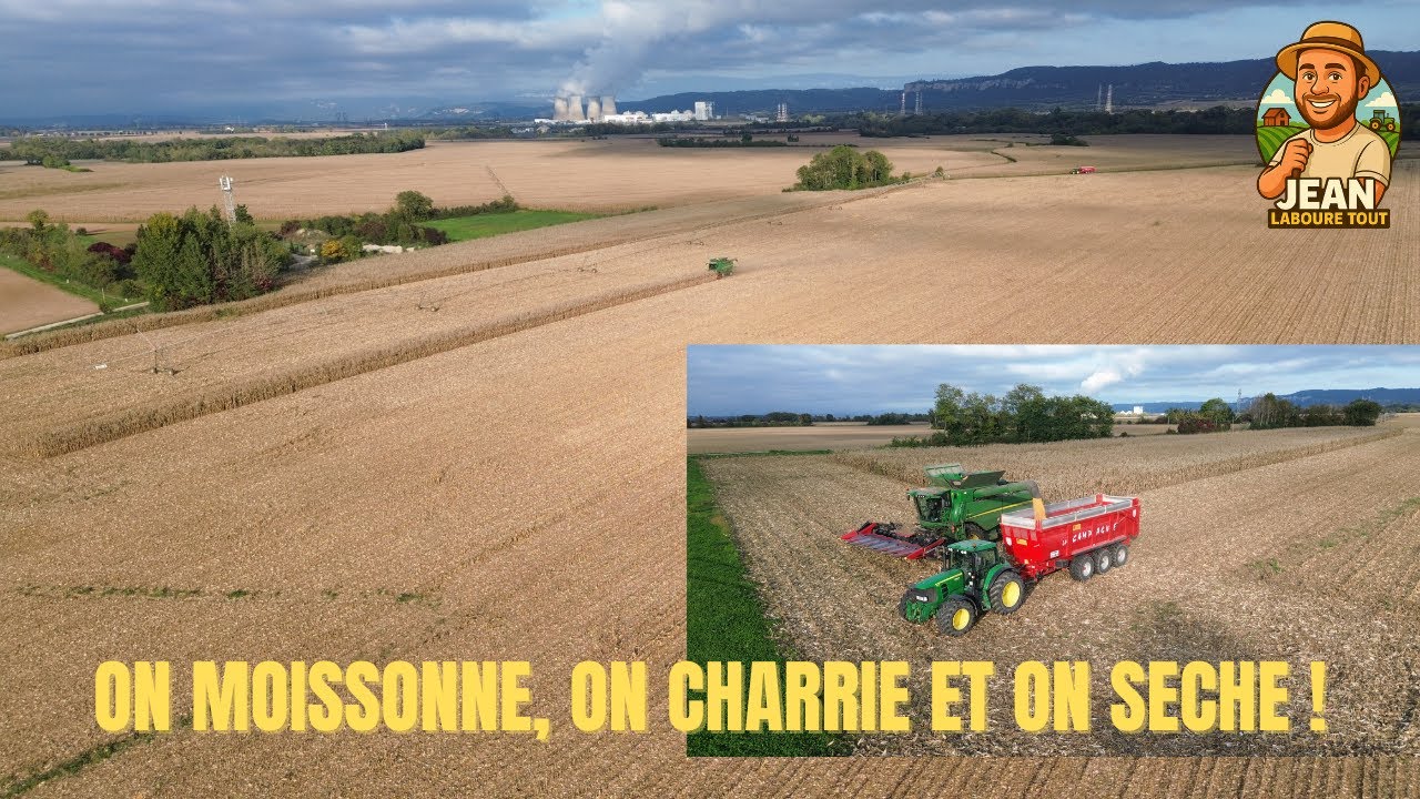 14 C’est parti pour la moisson du maïs ! Batteuse, séchoir et gros boulot 🌽🔥