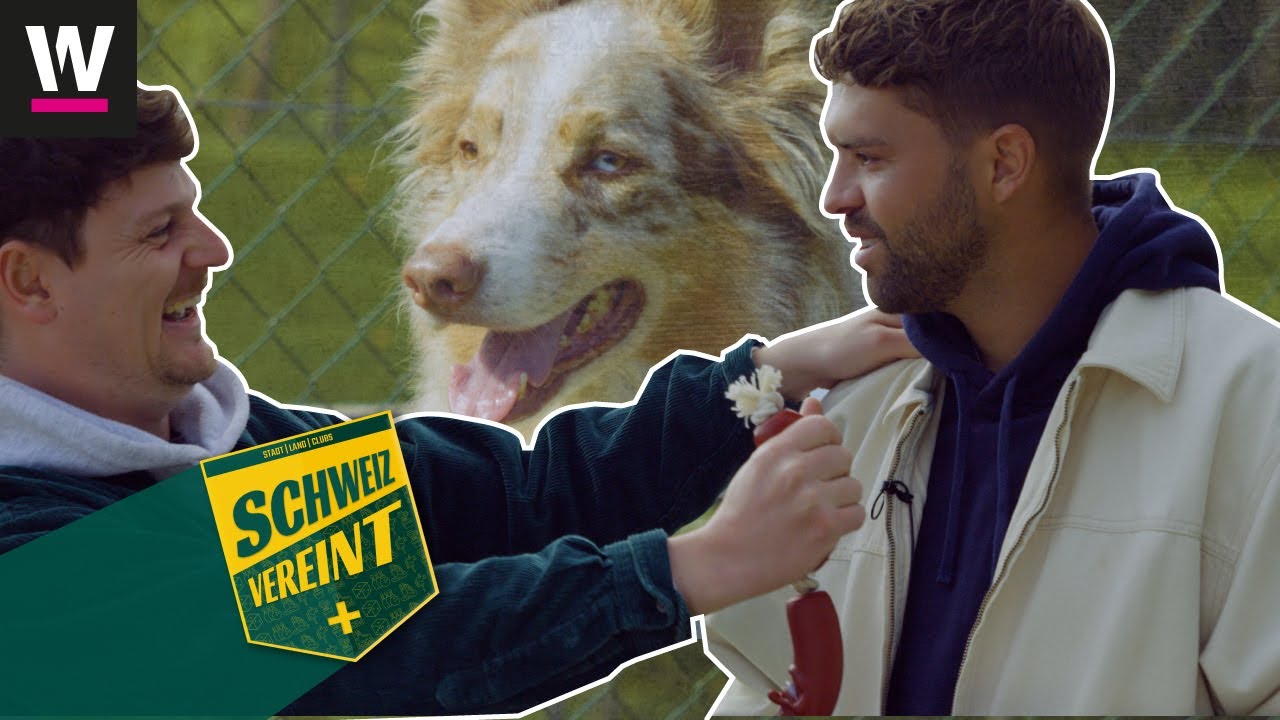 Nico ist auf den Hund gekommen – ein Tag im Agility-Verein