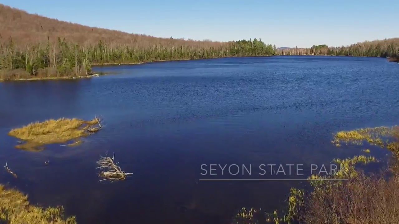 Hiking in the woods behind Seyon State Park in Groton VT with a drone