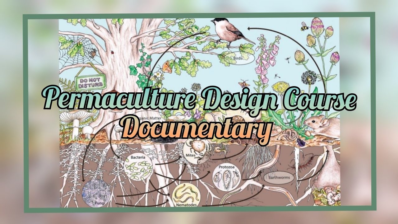 Permaculture Design Course Documentary in Auroville | Anitya Community | Auroras Eye Films