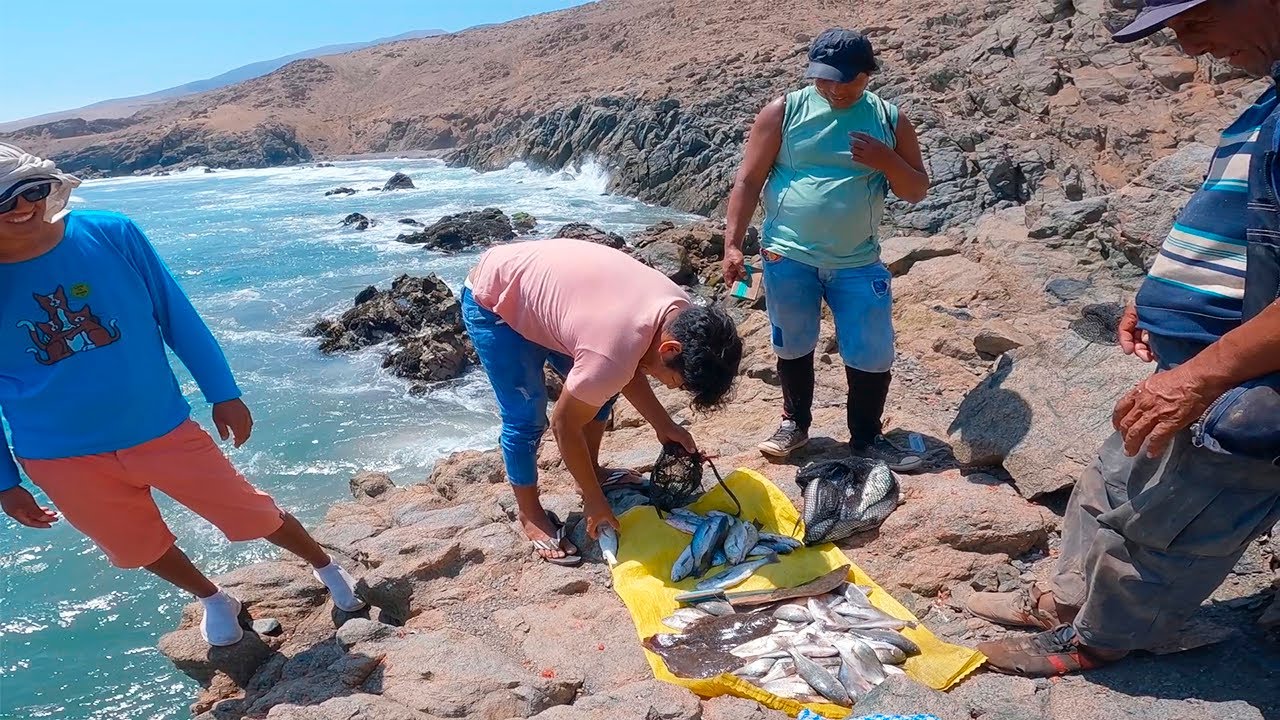 Increíble habilidad de PESCA EN EL MAR - Secretos de la pesca