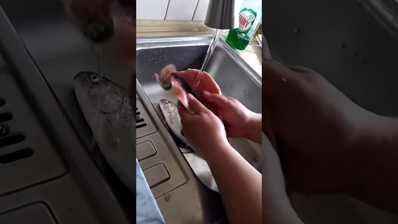 Alabalık nasıl temizlenir, on saniyede alabalik temizligi