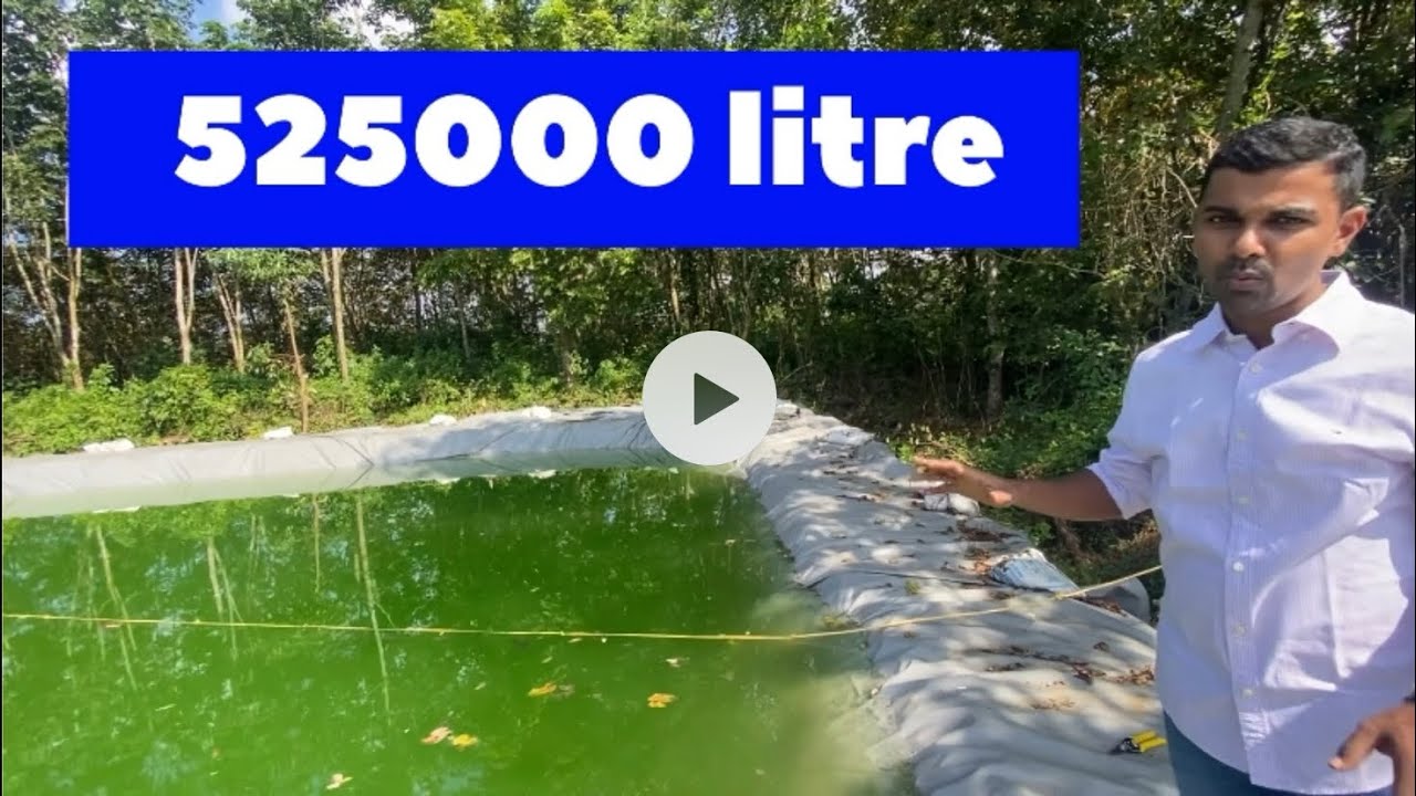 വെള്ളമില്ലാത്ത സ്ഥലത്ത് 5.25 ലക്ഷം വെള്ളം ശേഖരിച്ചപ്പോൾ... #kerala #rambuttan #villagelife