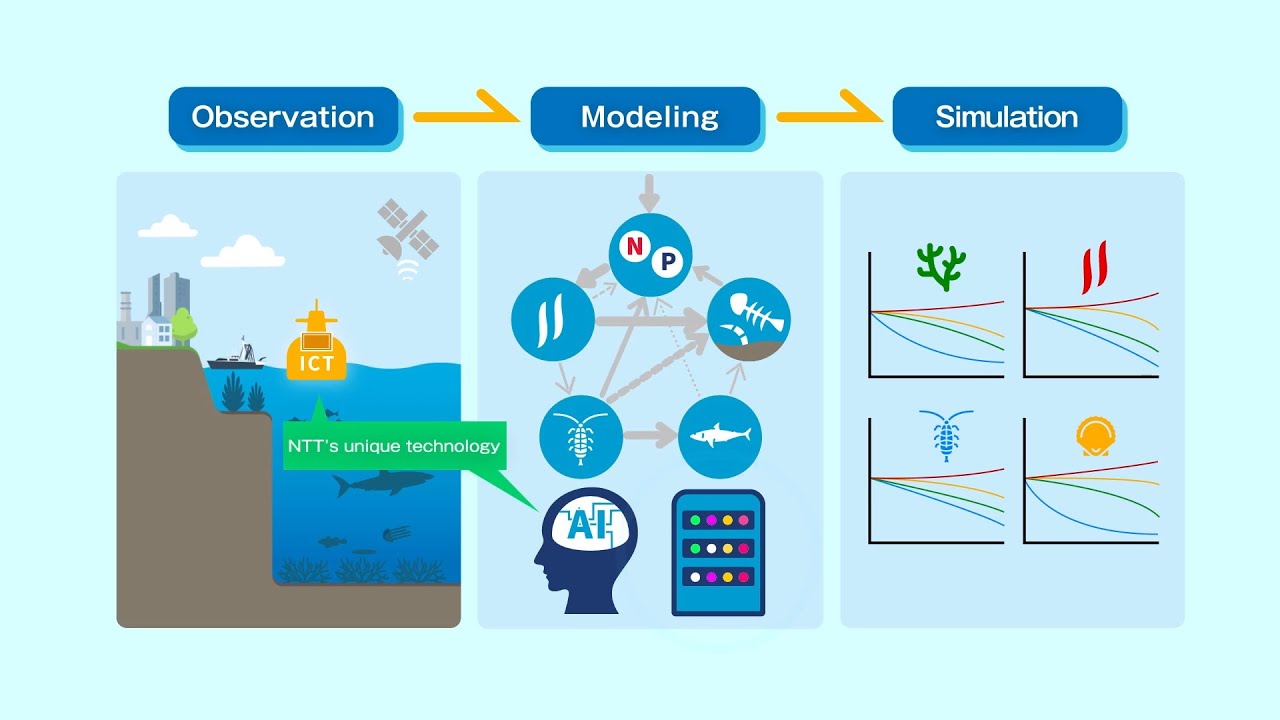 【NTT】Marine-ecosystem future-forecasting technology for biodiversity conservation