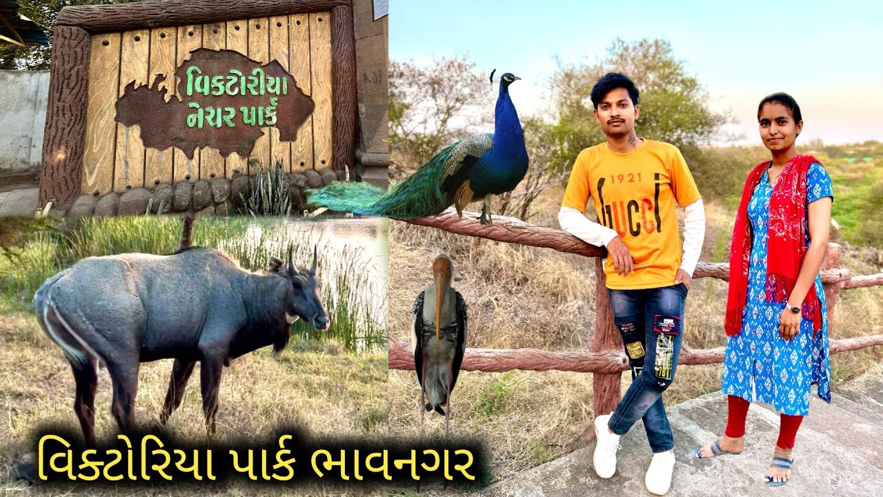 Victoria Nature Park || Bhavnagar || વિક્ટોરિયા નેચર પાર્ક || ભાવનગર || Gujrati Vlogs