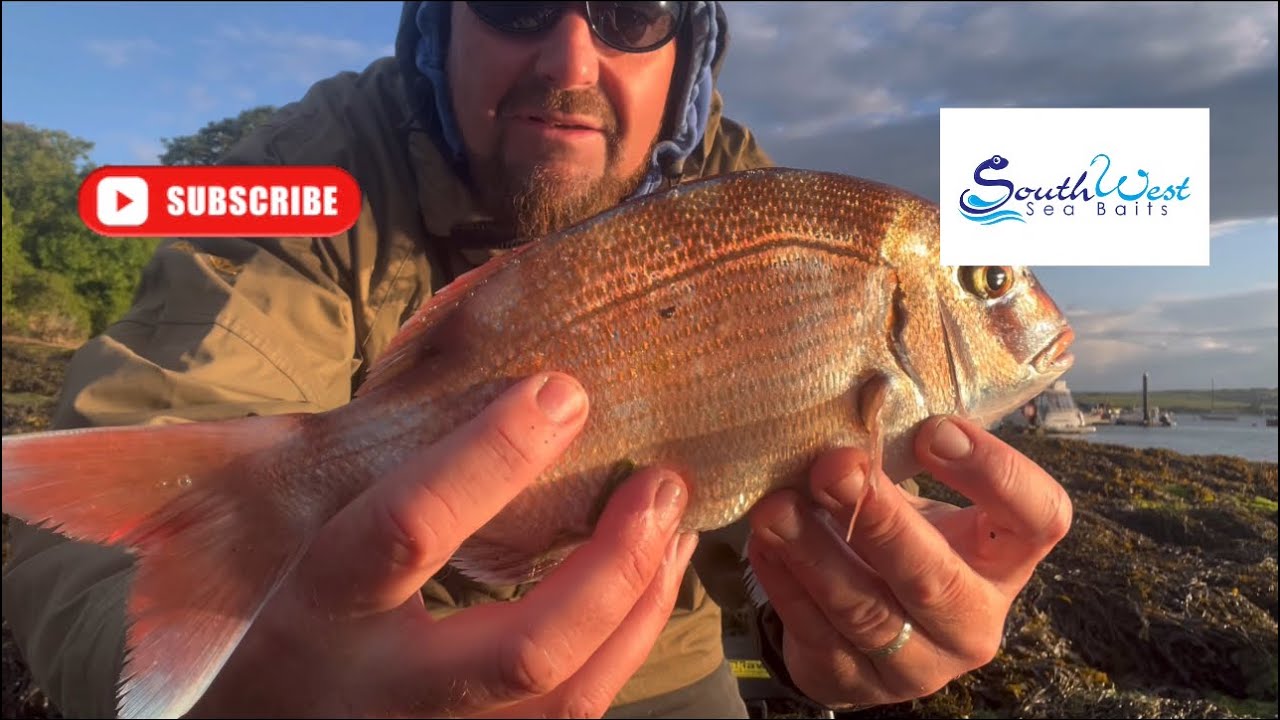 Uk sea fishing - salcombe estuary #seafishing #seafishinguk #seabream