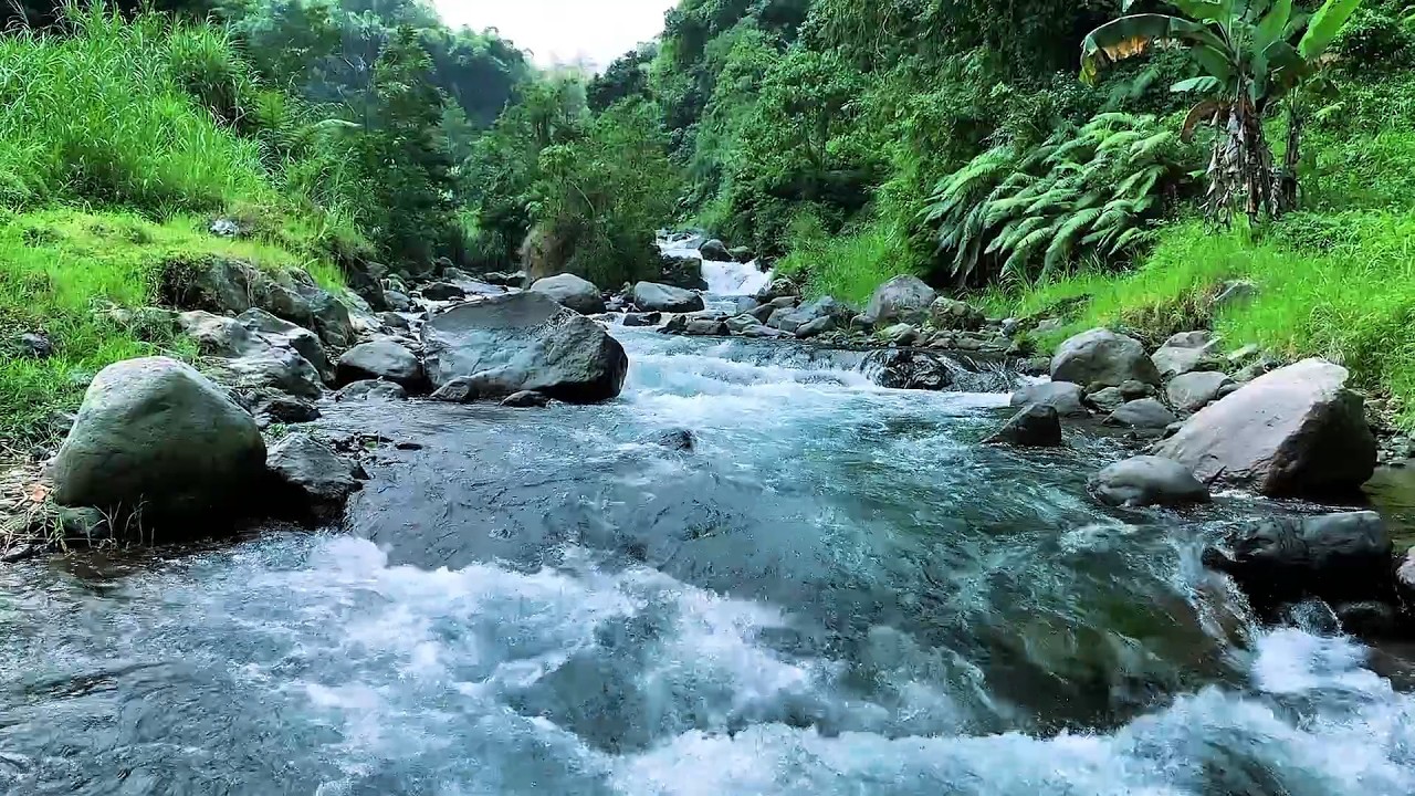 Relaxing River Sounds | Nature’s Tranquility for Meditation & Sleep