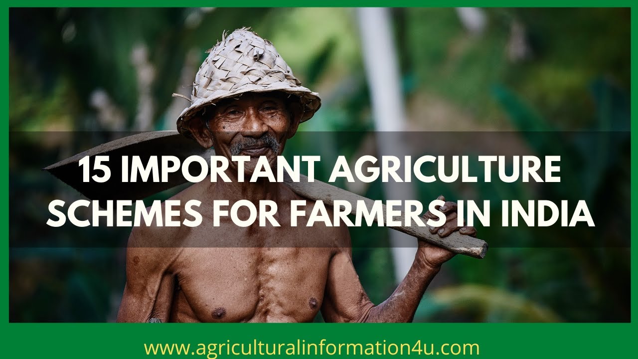 15 Important Agriculture Schemes For Farmers in India | PM Kisan Schemes | PM Kisan| किसान योजनाएं