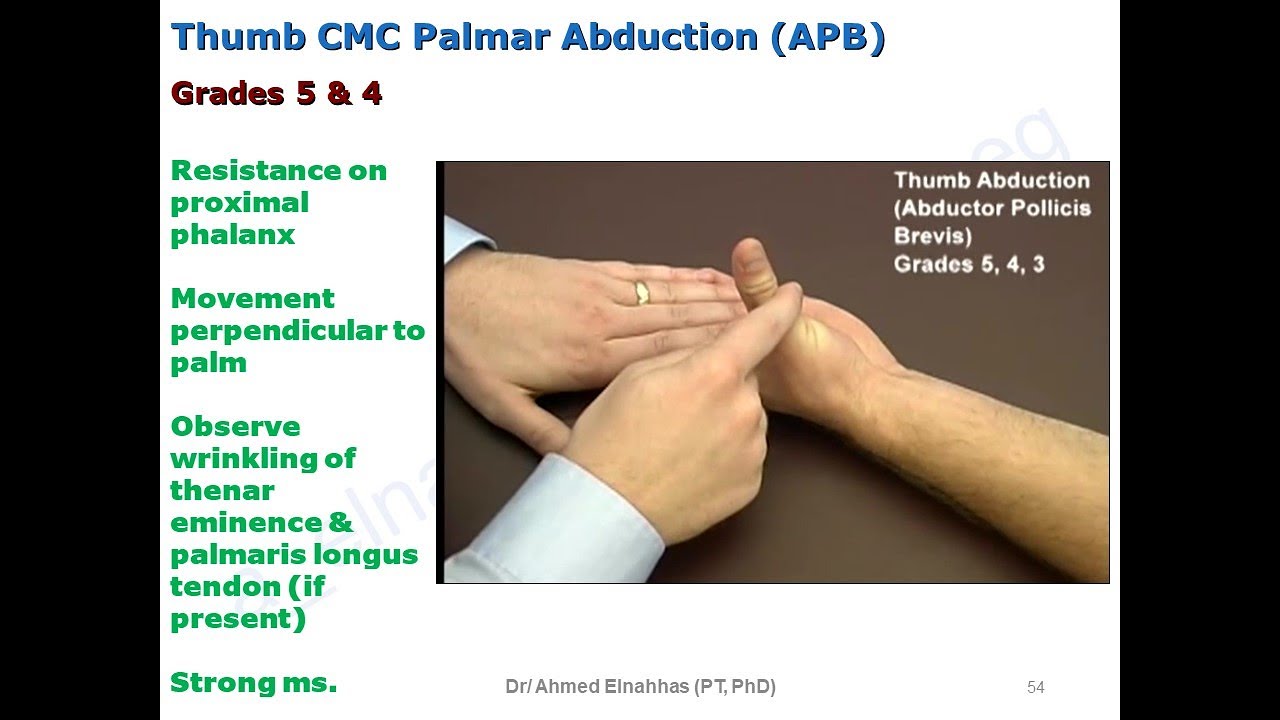 MMT of the Wrist & Hand