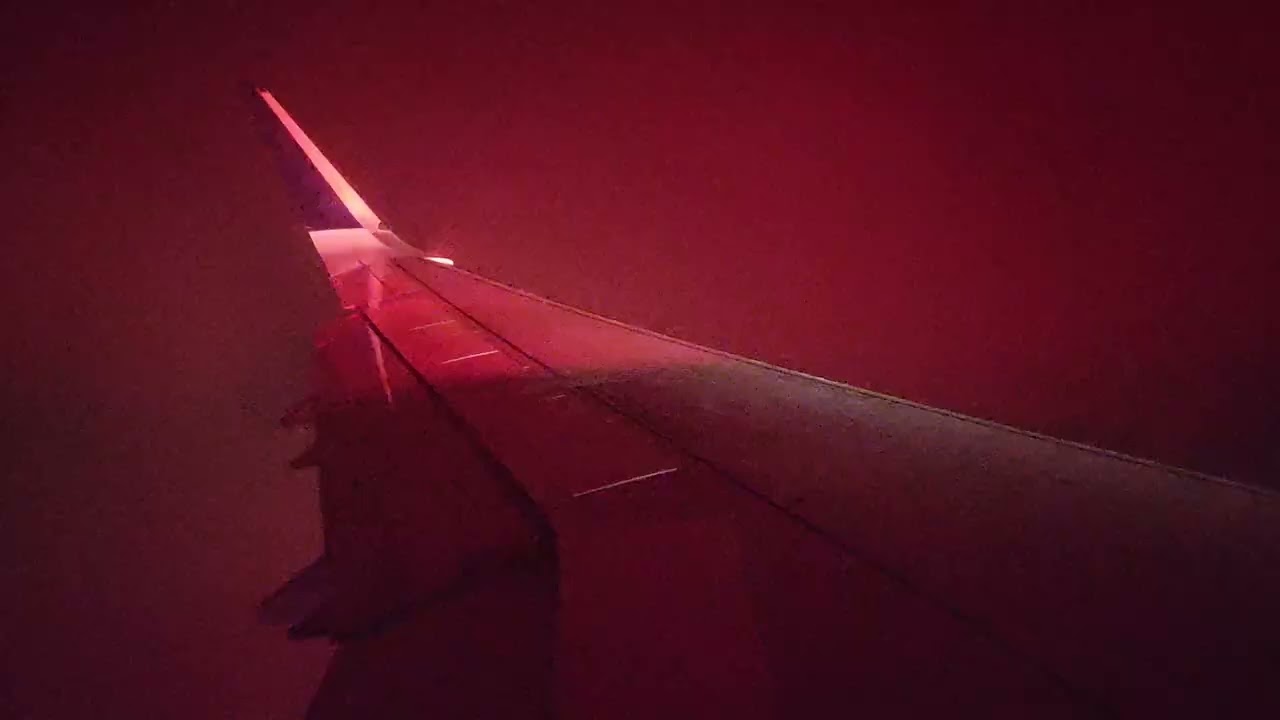 Delta 2198 Approach and Landing into Minneapolis MSP from Los Angeles LAX, A321-200, 1/10/26