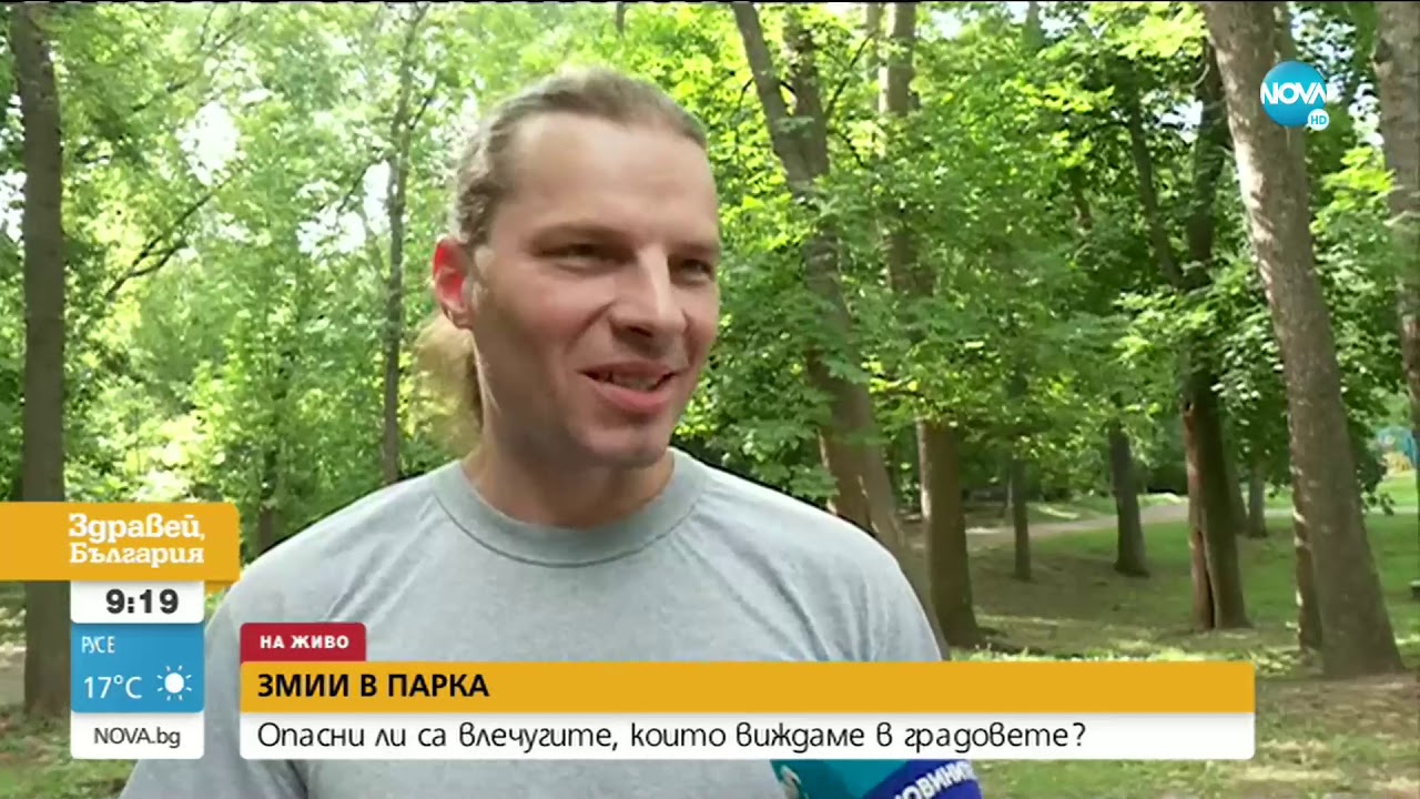 Опасни ли са змиите, които виждаме в градовете?