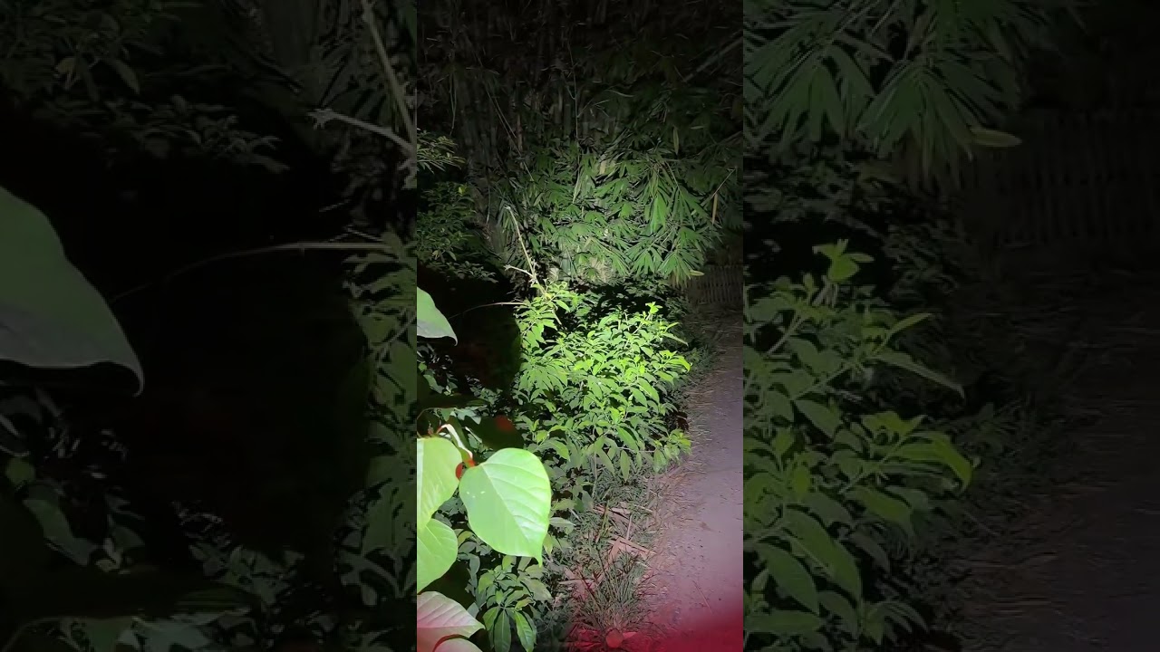 🔴 Explore Lokasi Pembantaian Portugis Gorontalo | Sang Adipati
