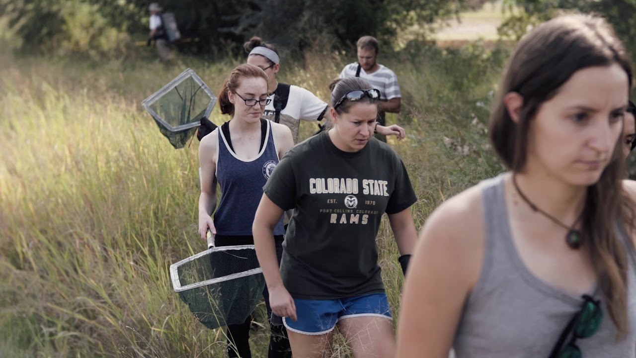 Fish, Wildlife, and Conservation Biology Major at Colorado State University