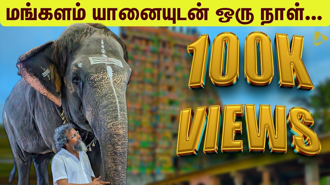 கும்பகோணம் மங்களம் யானை செய்யும் சுட்டித்தனம்|KUMBKONAM MANGALAM ELEPHANT|பாகனுடன் கொஞ்சி குலாவும்