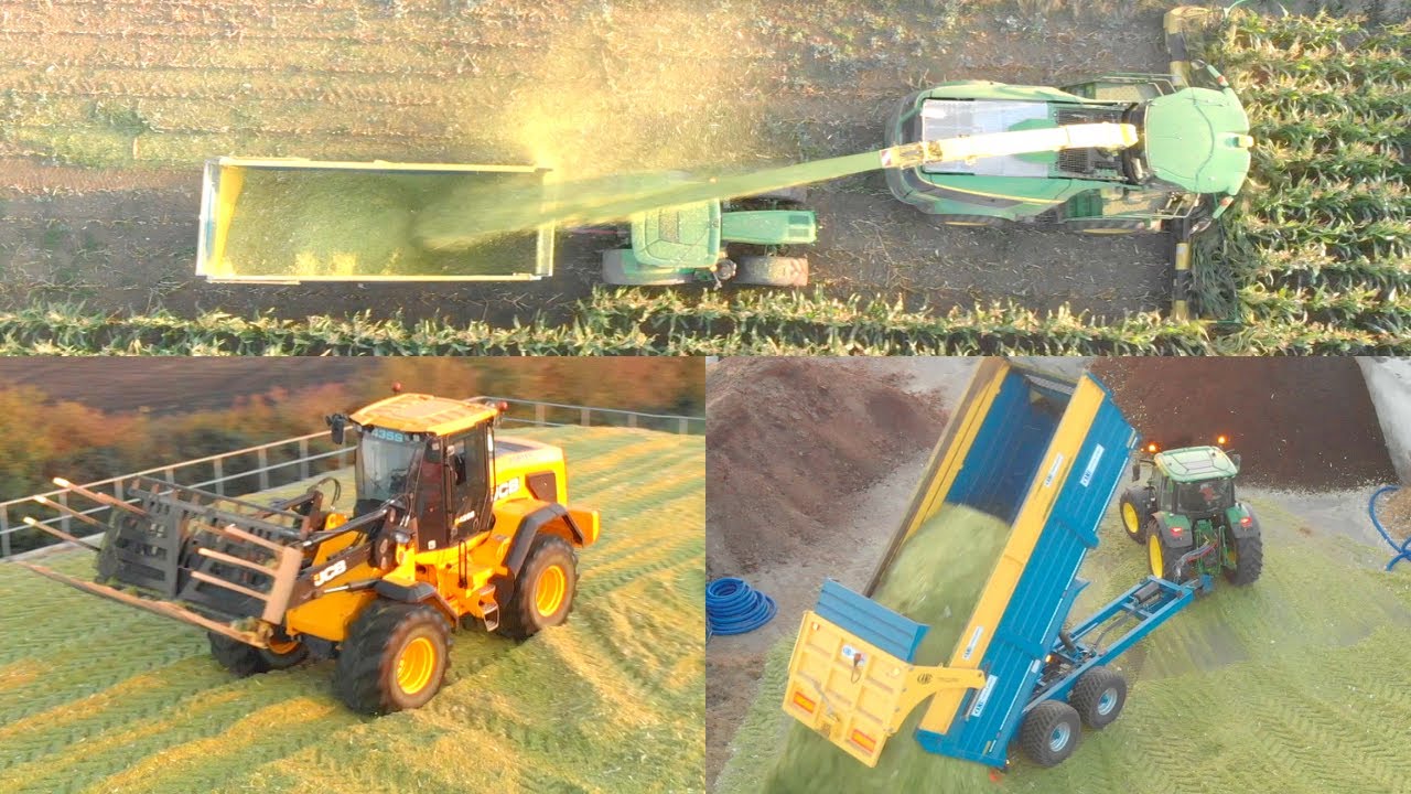 MEGA UK Forage Harvesting & Clamping Maize with John Deere 9900i and 2 JCB 435s's for AD Plant