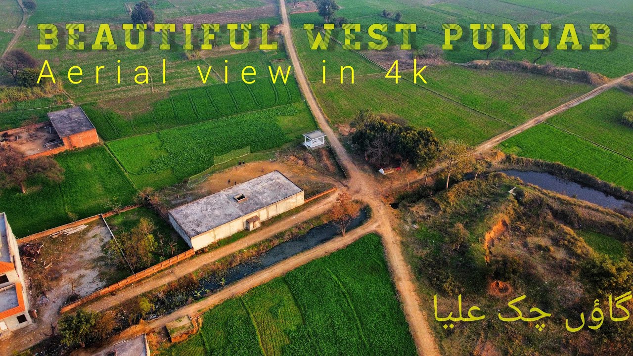 Village Chak Aliya | Pasrur Sialkot | Bird's-eye view | 4K Aerial view | Beautiful Punjab, Pakistan.