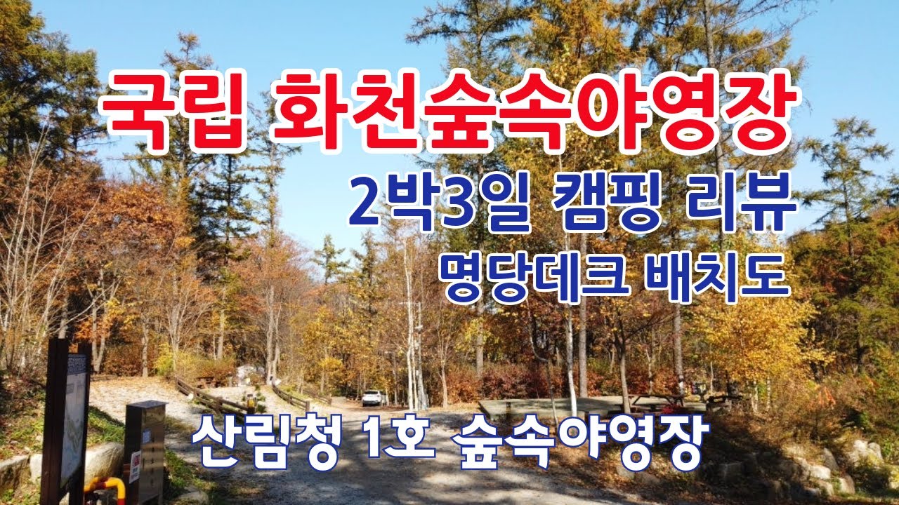 국립화천숲속야영장 캠핑 후기 리뷰, 명당데크, 계곡과 배치도 산책로, 산림청 1호 숲속야영장 #화천숲속야영장