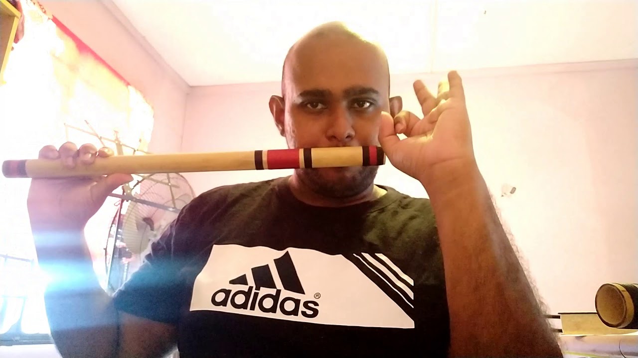Lesson 1 - Anybody can play the Flute (Blowing Techniques)