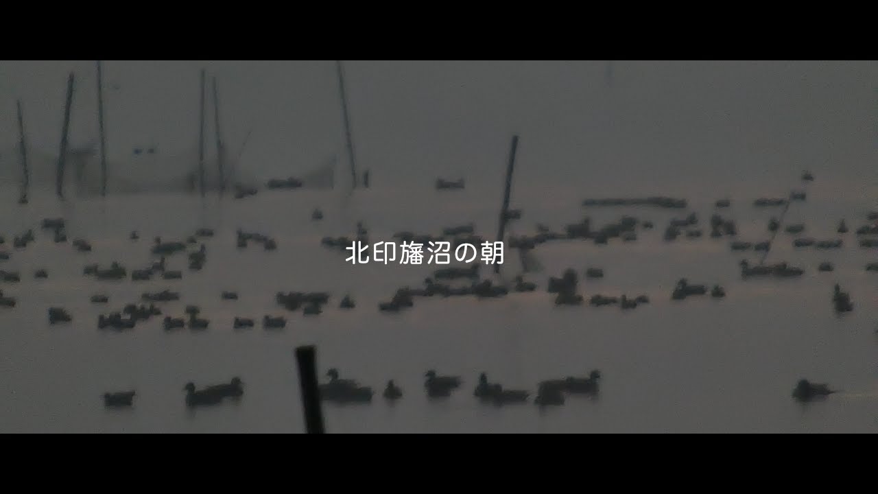 北印旛沼の朝　~令和八年二月一五日~