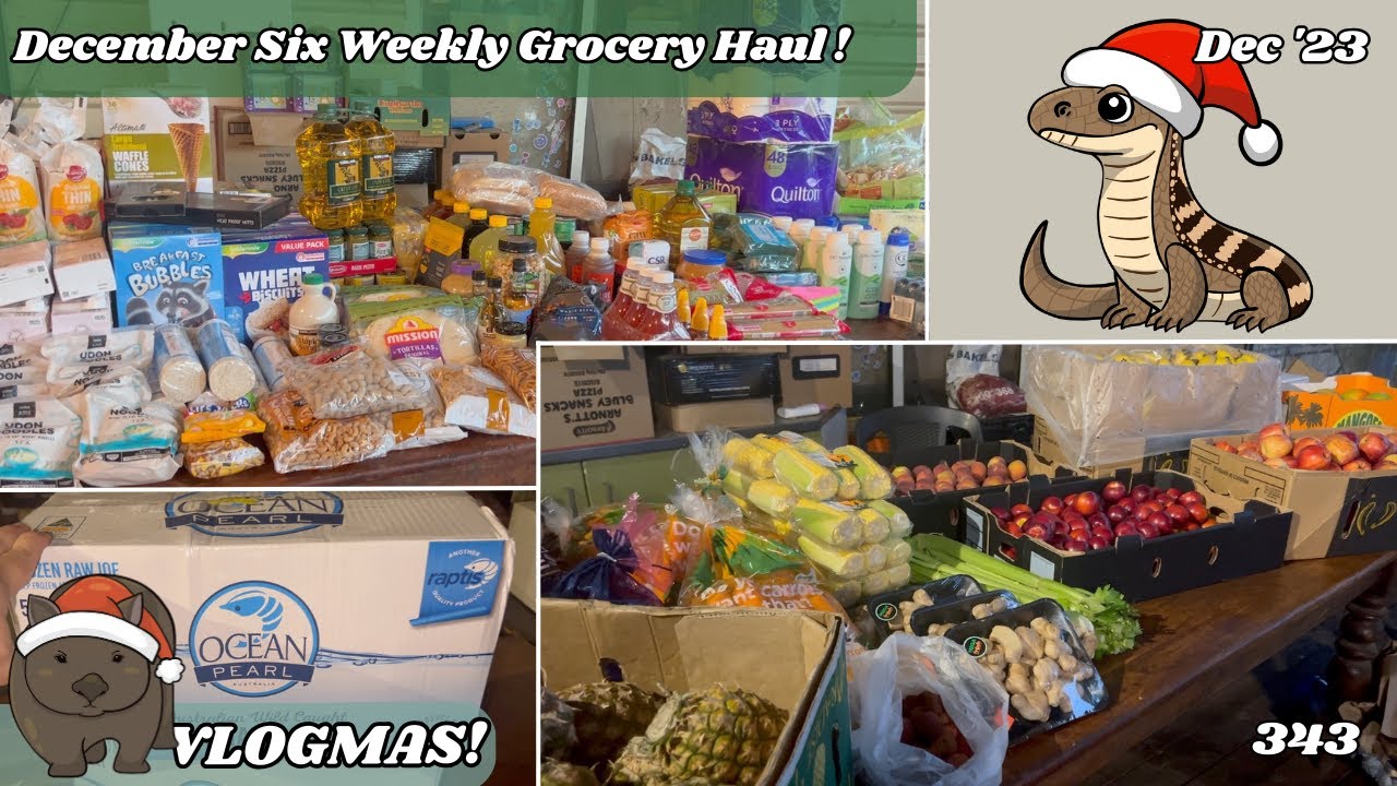 VLOGMAS 2023 - December Monthly Grocery Haul - Costco, Coles, Aldi, F&V etc | Off Grid Australia 343
