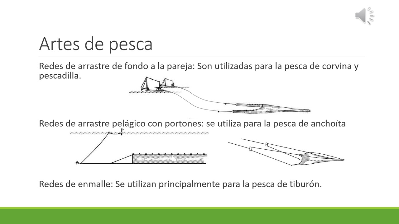Artes de pesca utilizadas en Argentina
