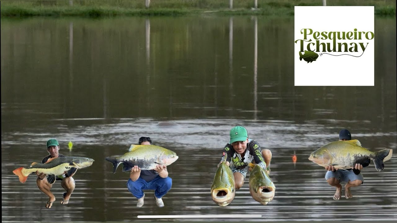Peixes do Pesqueiro Tchunay no dia 07/02/2026 moeu 🎣