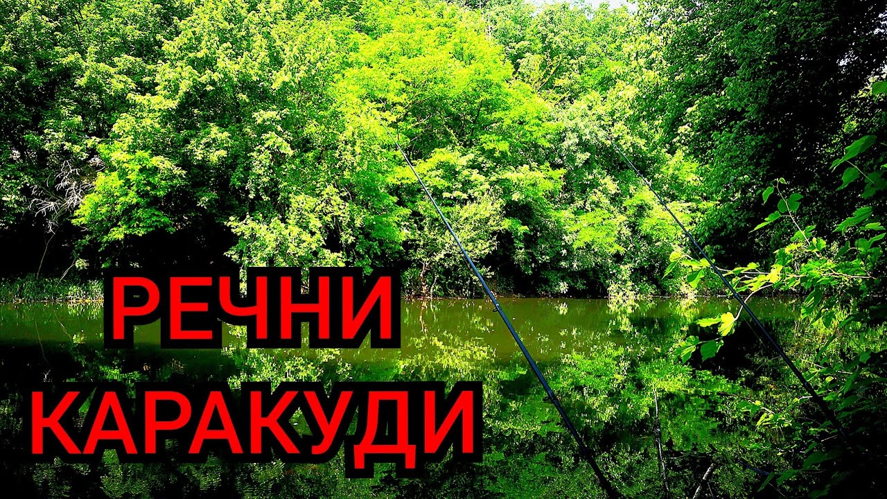 ЗА КАРАКУДИ на ФИДЕР! РИБОЛОВ на РЕКАТА