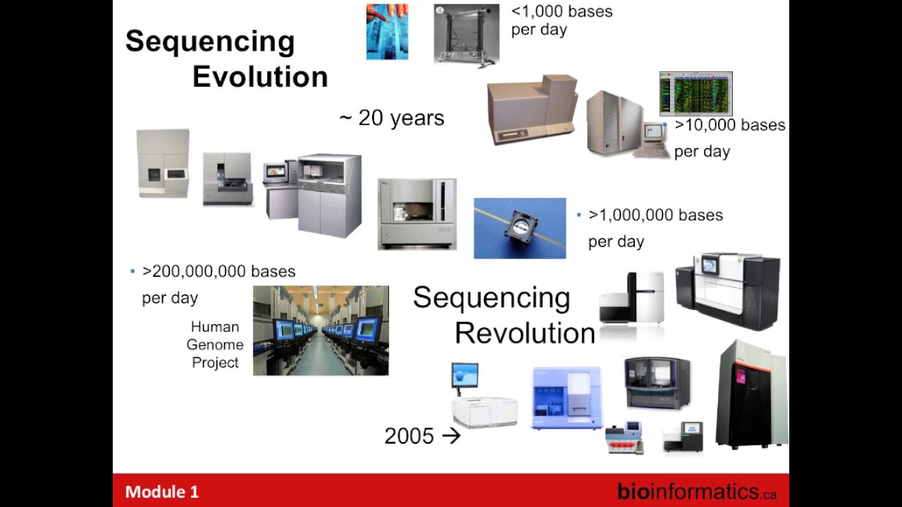 Introduction to Cancer Genomics