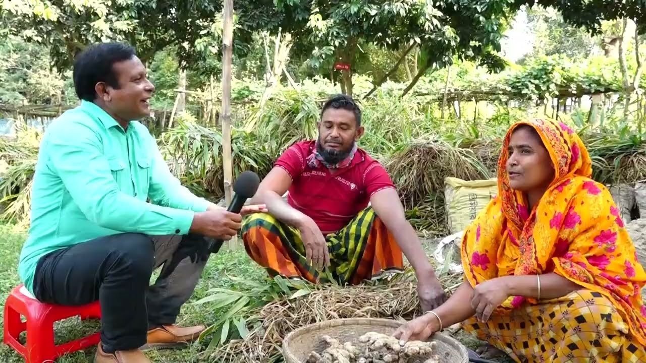 এক খামারে সবজি-মসলা চাষে দ্বিগুণ লাভ! আধুনিক সমন্বিত কৃষি কৌশল ২০২৫