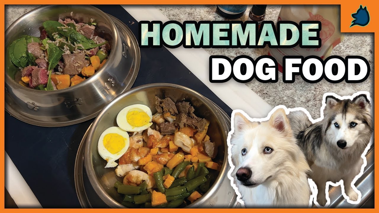 Home Made Dog Food Recipe | COOKING FOR YOUR DOG 🐶 -  vet approved!