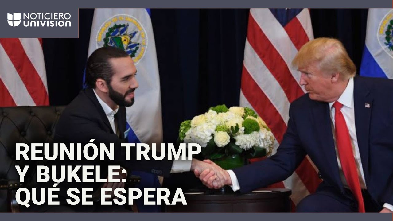 Nayib Bukele se re&uacute;ne con Donald Trump en EEUU: &iquest;qu&eacute; significa este encuentro?