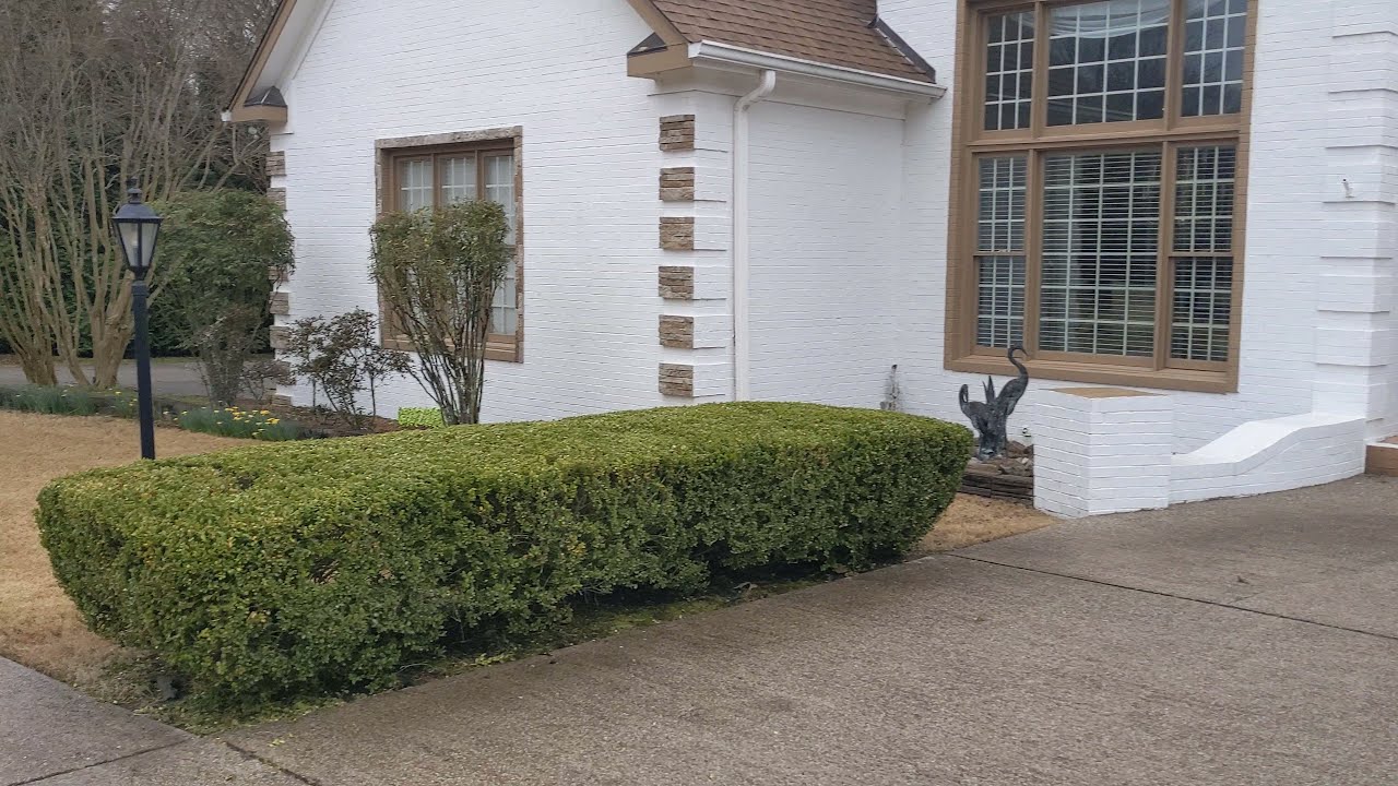 Jackson TN Homes for Sale