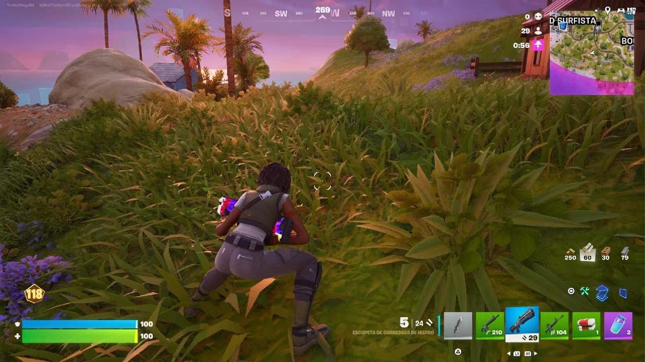 Fortnite / Nivel 193 / Torneo 6/10
