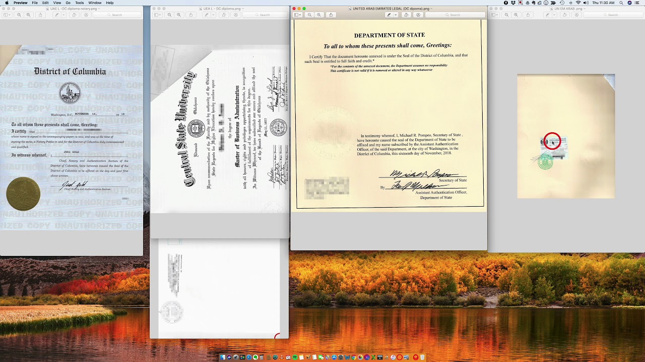 United Arab Emirates Diploma embassy legalization