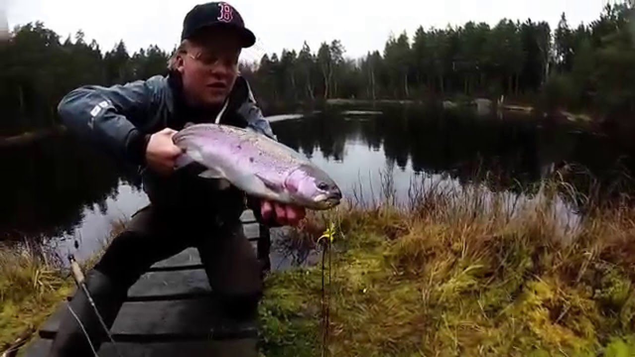 En dag i Harasjömåla (GoPro Hero 3+)