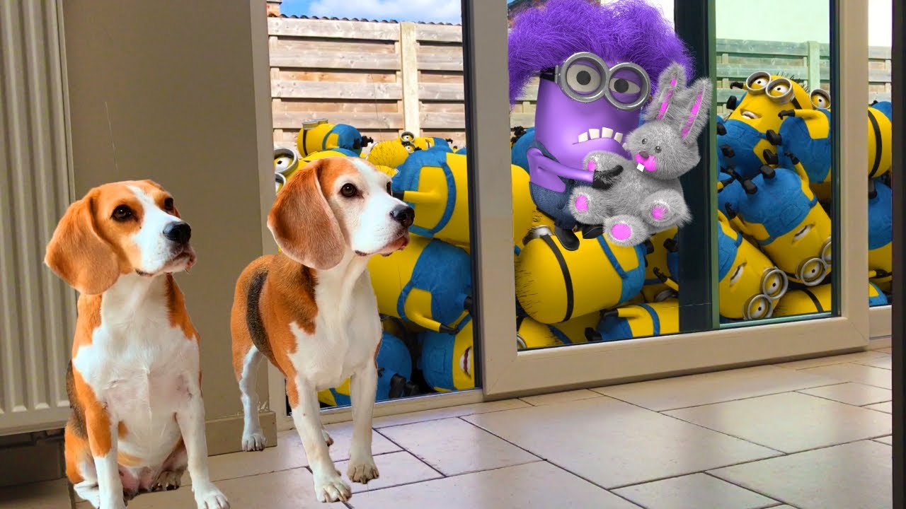 💜🍌DOGS vs MINIONS IN REAL LIFE!🍌💜 Funny Dogs Louie & Marie
